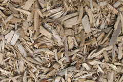 biomass boilers Gwernafon