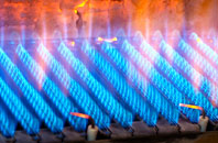 Gwernafon gas fired boilers